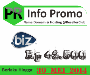 Promo nama domain dot biz