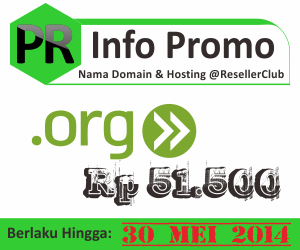 Promo nama domain dot org